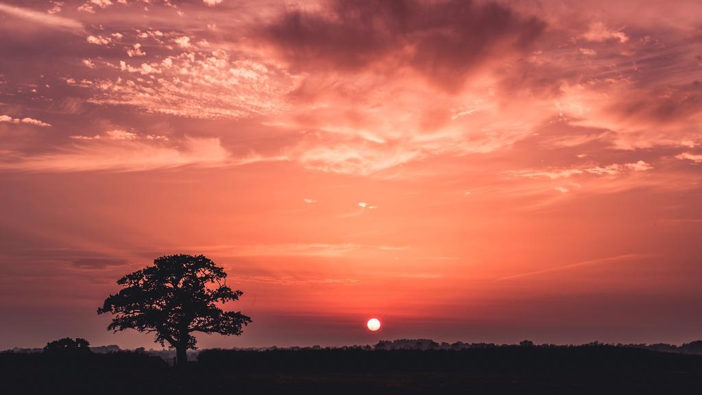 工作中 工作 办公室 会议 职场       风景 风光 美景 田园 山水 灯光 光线 激光 打火机 旅行 旅游 行程 度假 休闲 度假 假日 天空  夏日 夏季 热情 计算机 电脑 信息科技 树木 丛林  自然 环境 空白 留白 云 云朵 天空 树 树木 树林 