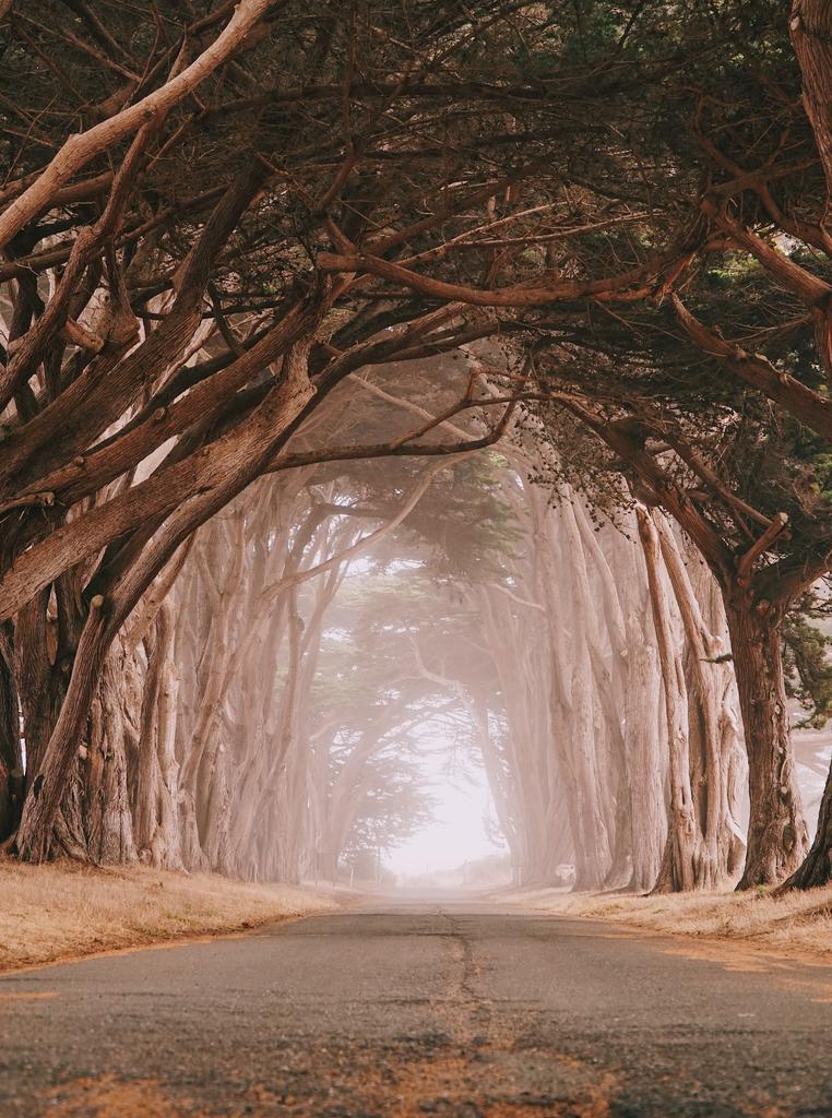  太空 空间 风景 风光 美景 田园 山水 花 玫瑰 美丽 花朵 道路 旅途 路途 户外 街道 公路 墙 围墙 表面 隔阂 背景 美女 丽人 优雅 美丽 漂亮 女孩 女人 女性 瑜伽 健身 形体 女性  冒险 探险 远足 度假 旅游 休闲 挑战 极限运动 爱情 恋爱 恋人 情人  浪漫 树木 丛林 森林 书 书籍 阅读  会 演唱会 秋天 秋日 自然 环境 全身像  可爱的 树 树木 树林 森林 活力 iPhone 苹果 苹果手机 商务