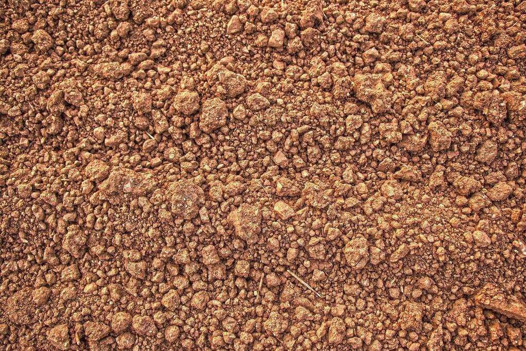 的土壤背景图片