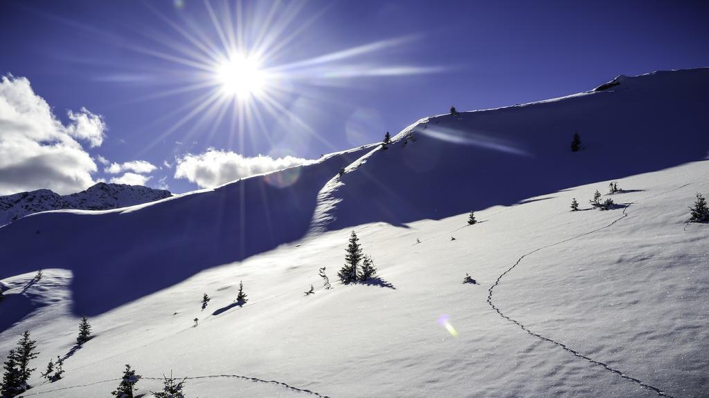 雪景 冬天 雪 新西兰 太阳 天空 冬季的心情 景观 寒冬