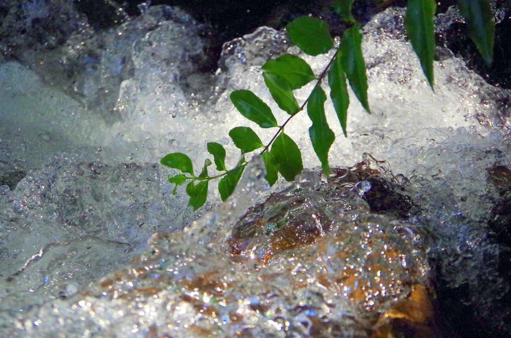 喷雾 河 谷 自然 山 森林 绿色 日本 水 水源 瀑布