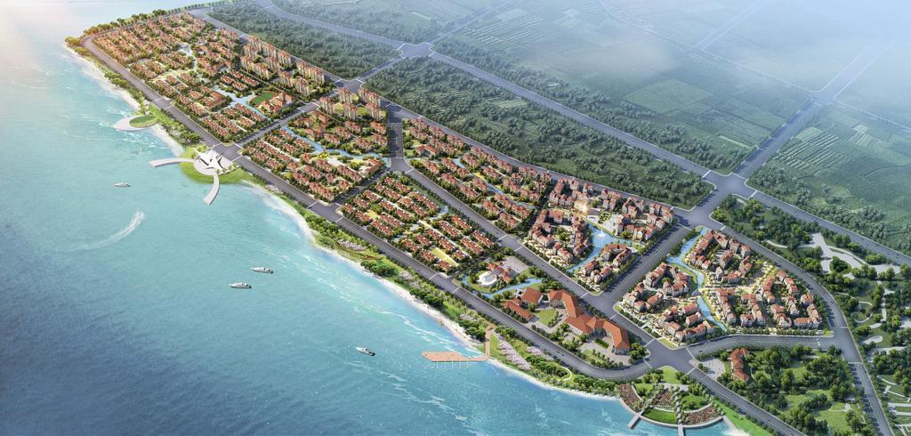 摄影唯美海岸植物背景图片