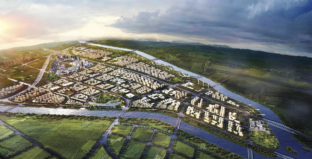 大规划 城市 中国