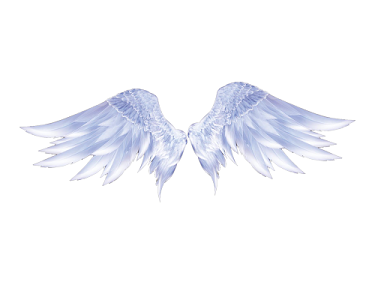 天使翅膀矢量