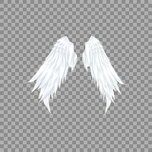 白色天使翅膀