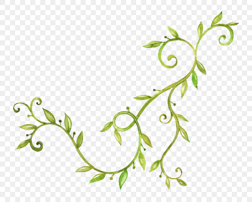 绿色藤曼图片-绿色藤曼素材图片