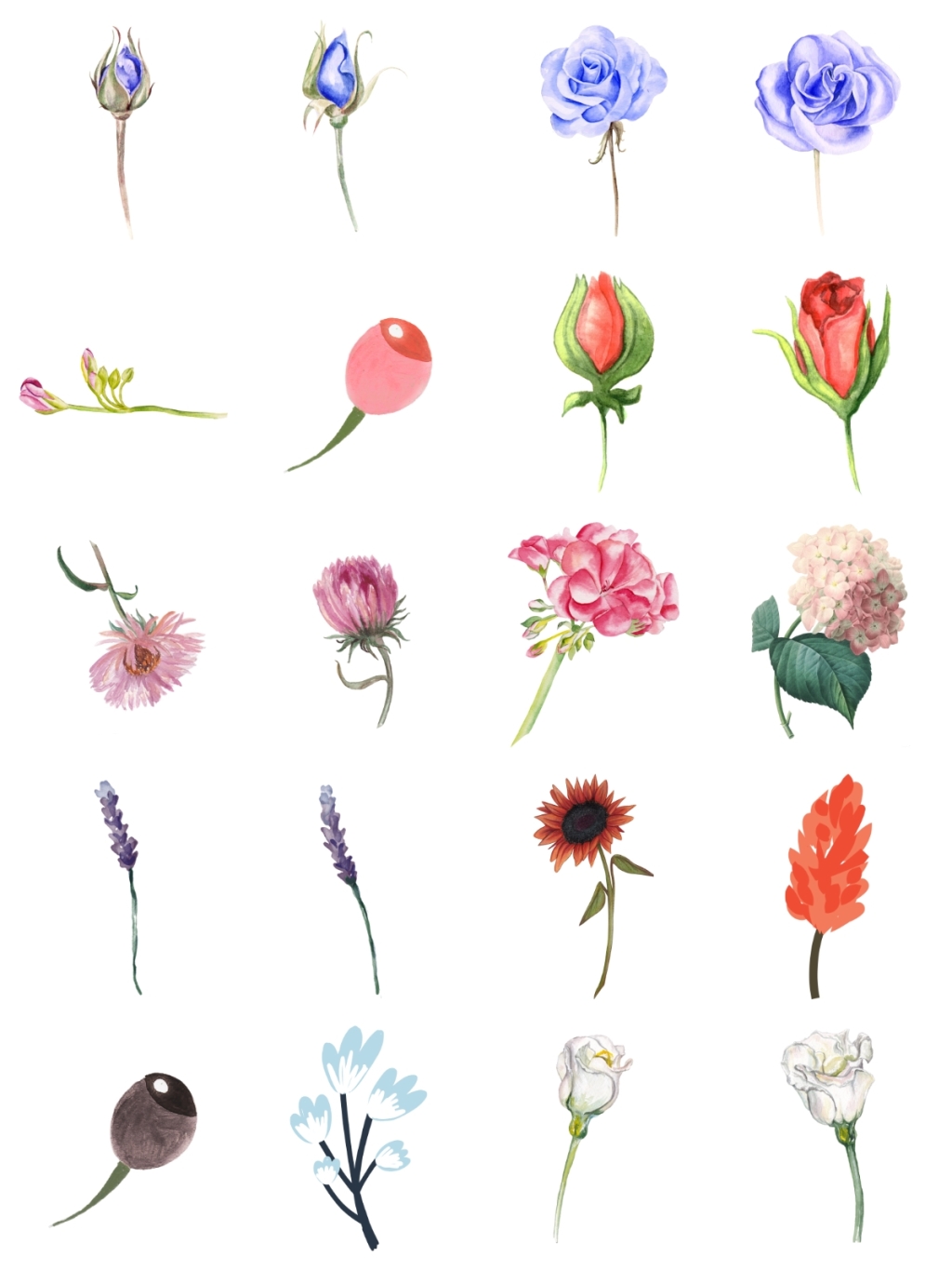 20个各色花素材 