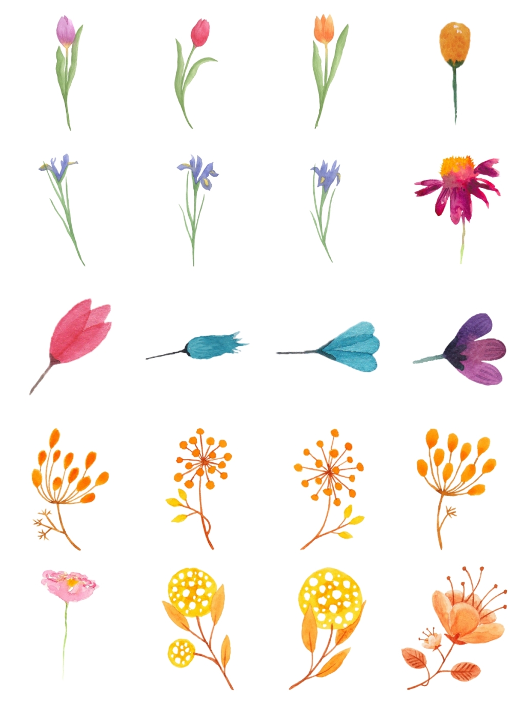 20个各色花枝素材