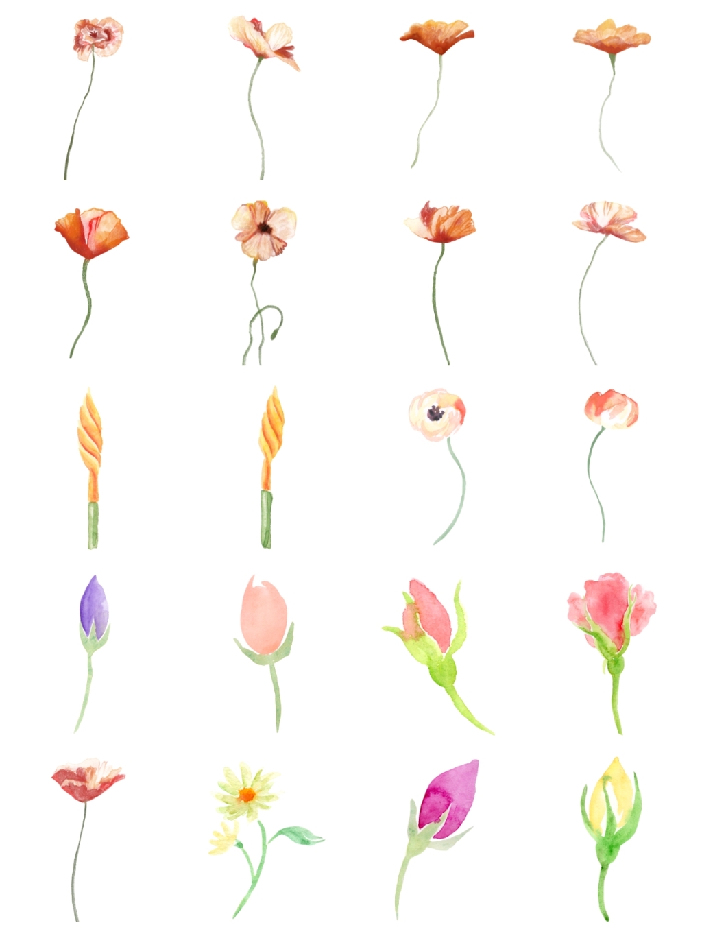 20个粉色花朵素材