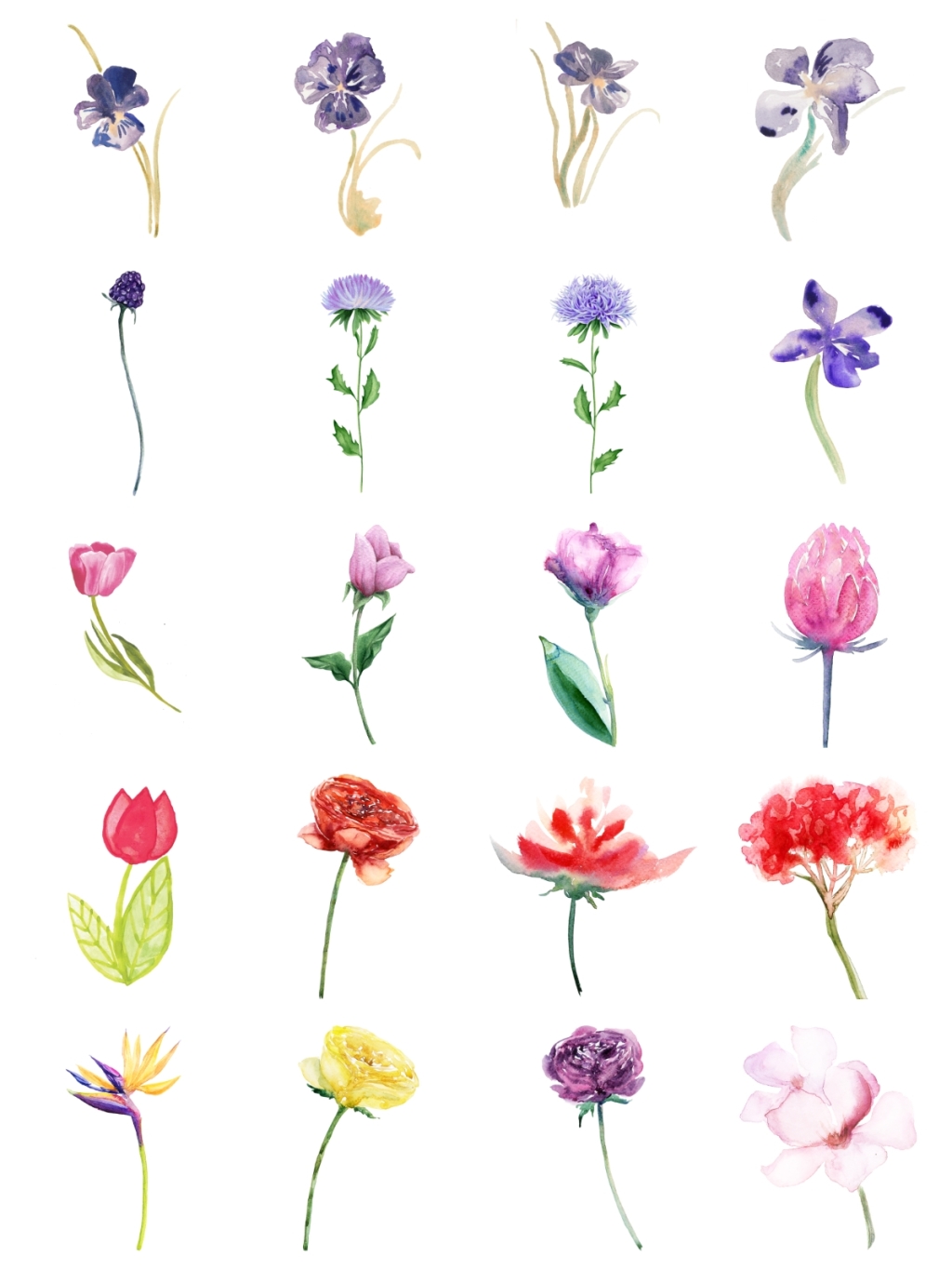 20个一束花素材