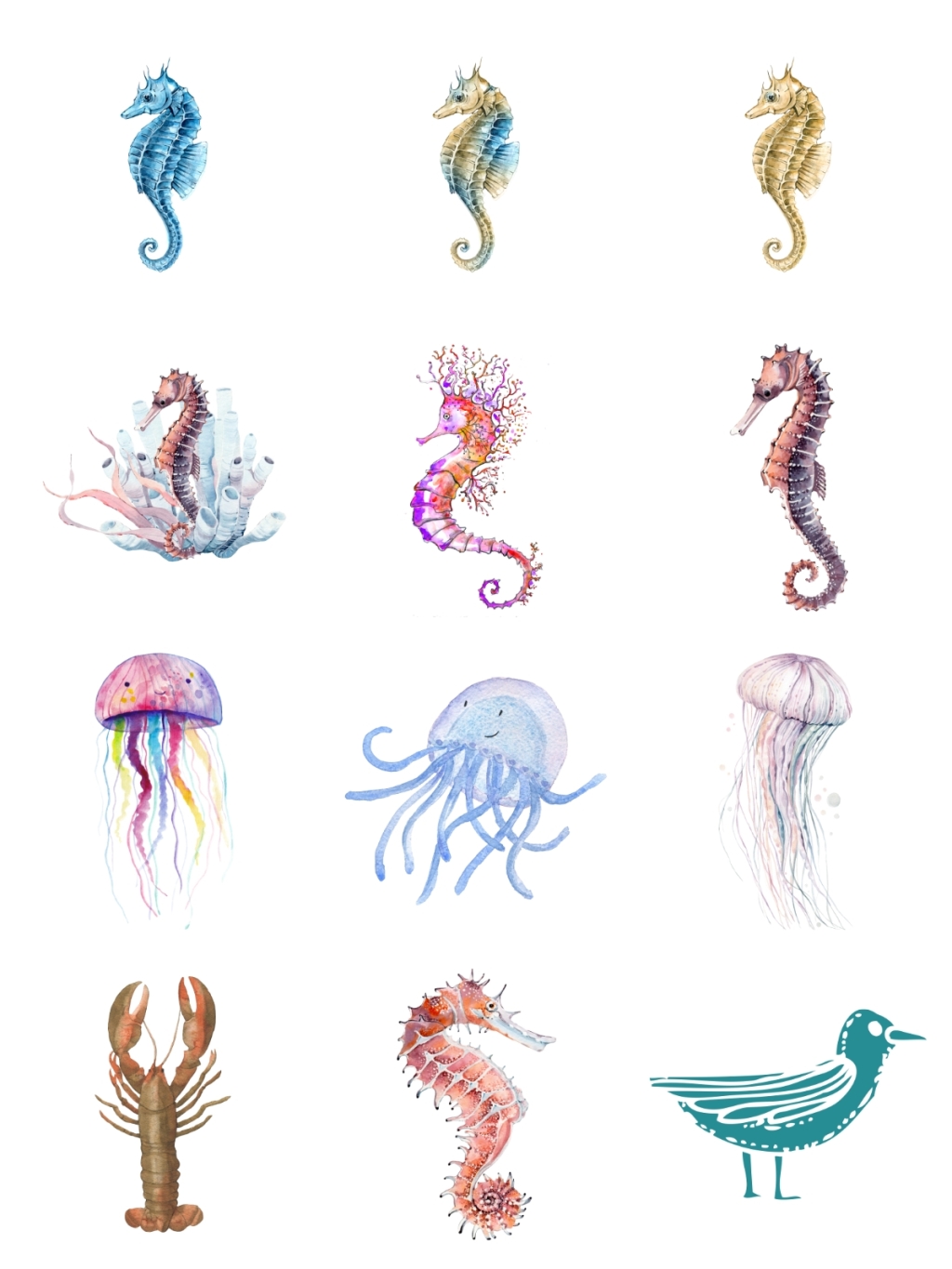 12个海马水母素材