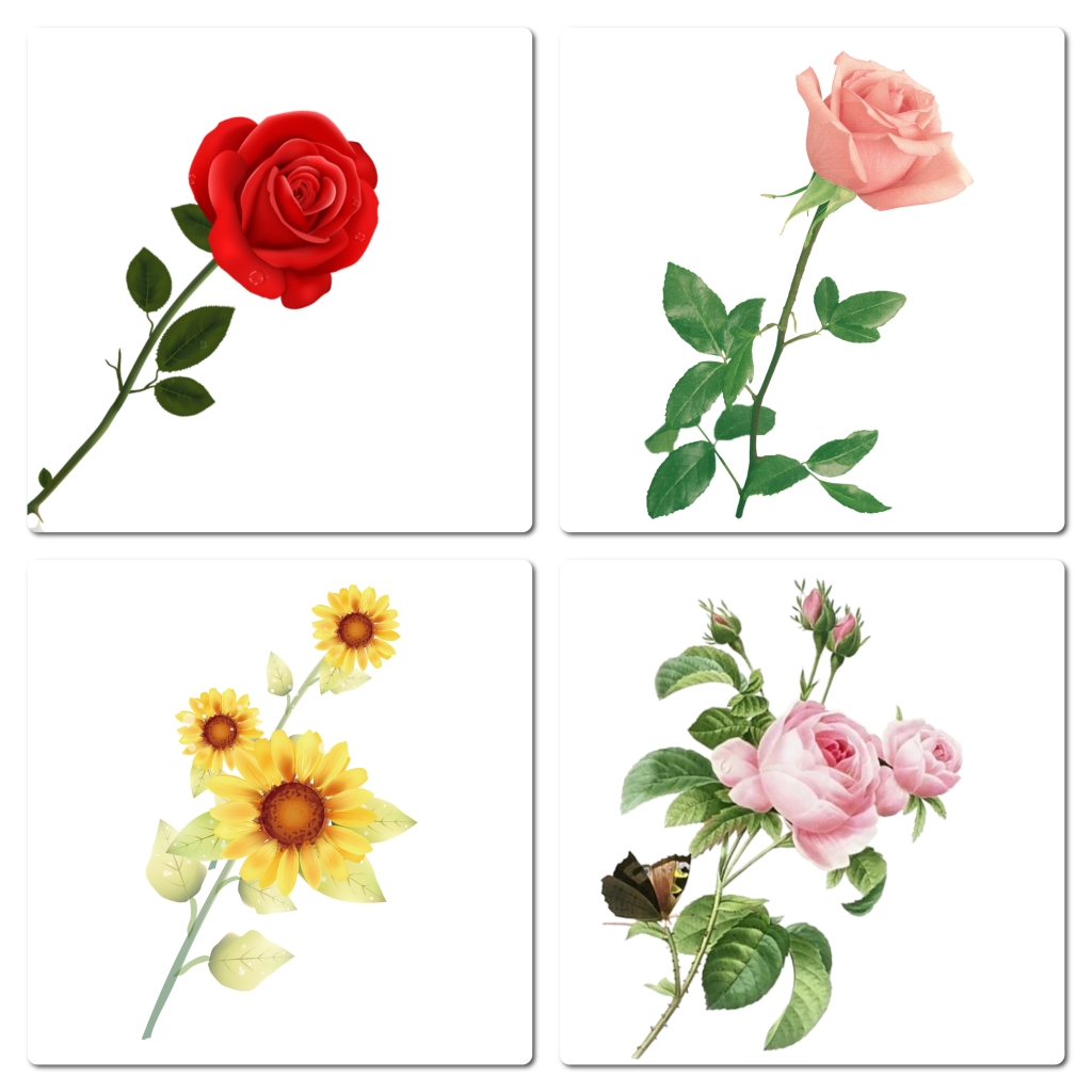 红色玫瑰太阳花png花朵素材