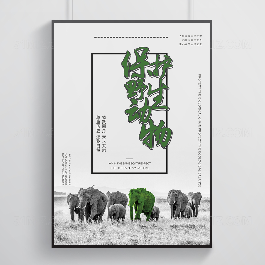 世界野生保护动物公益创意海报