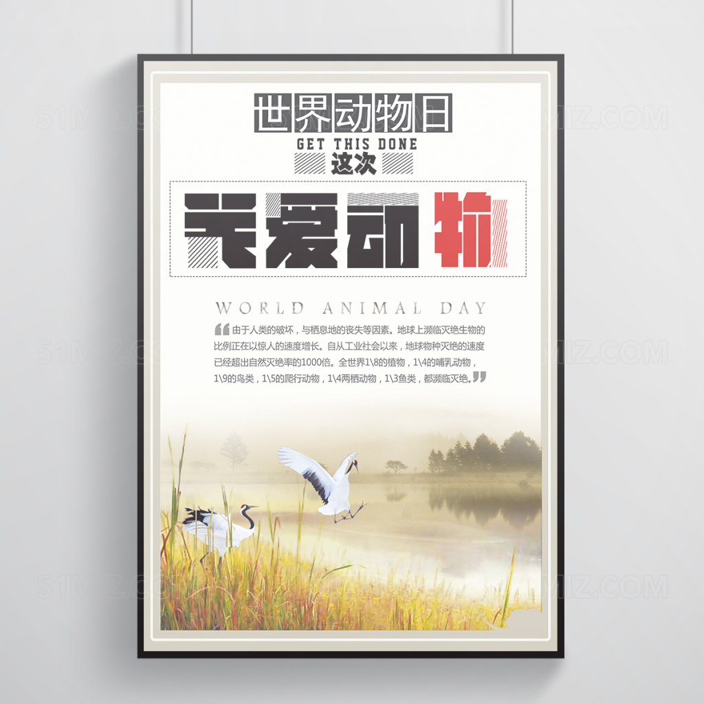 中国风关爱动物公益海报