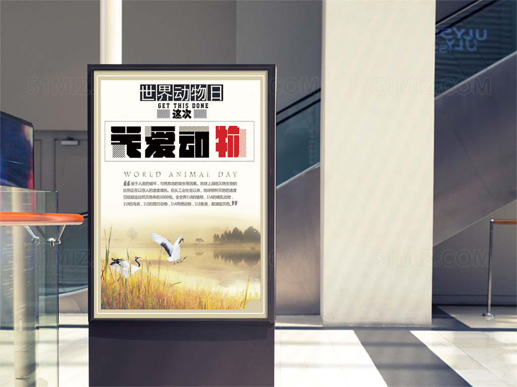 中国风关爱动物公益海报