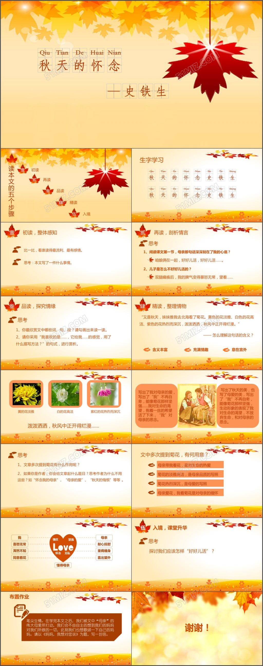 秋天的怀念史铁生课件通用PPT模板