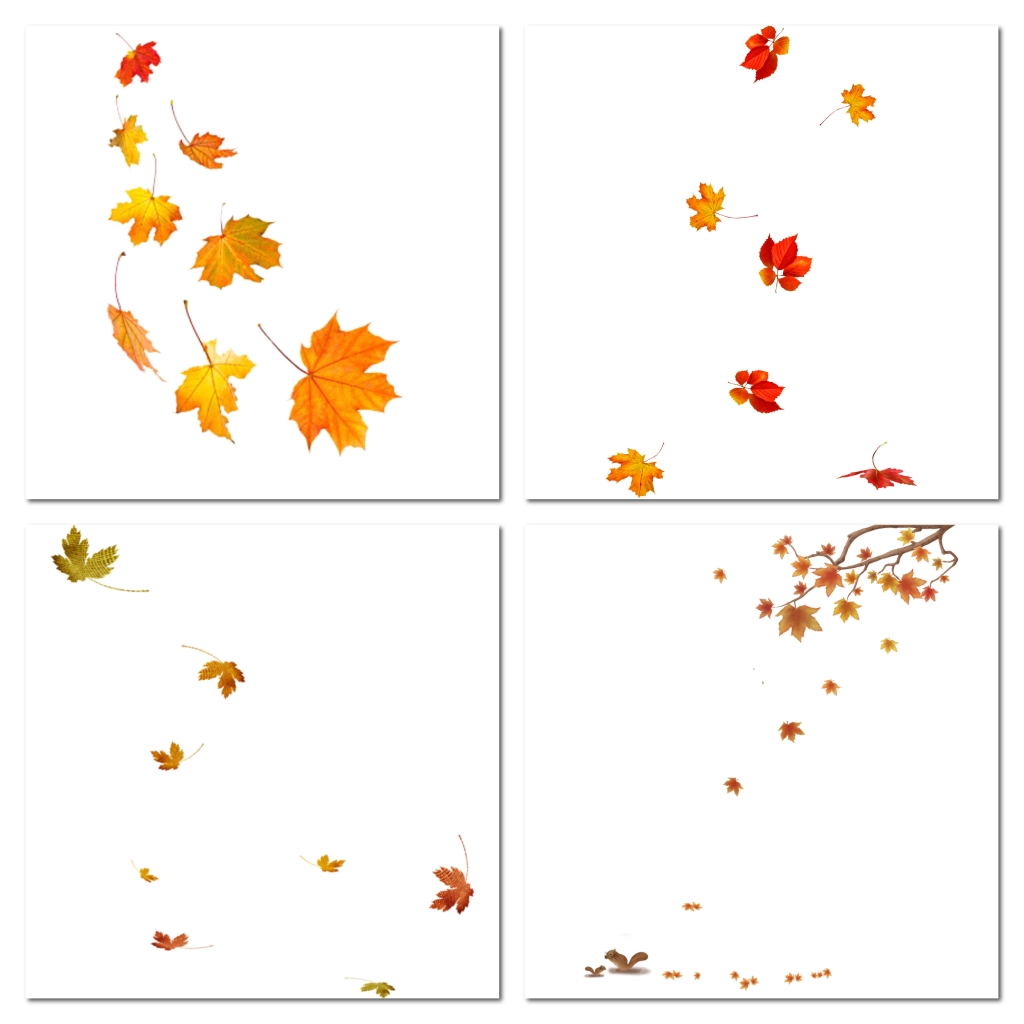 秋季促销秋天枫叶落叶黄色png素材