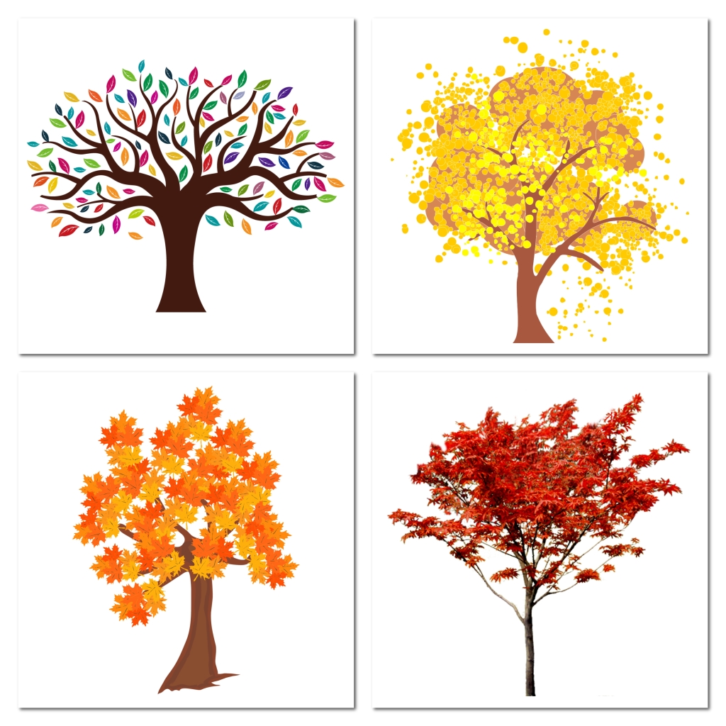 秋季秋天红色枫树树木png素材