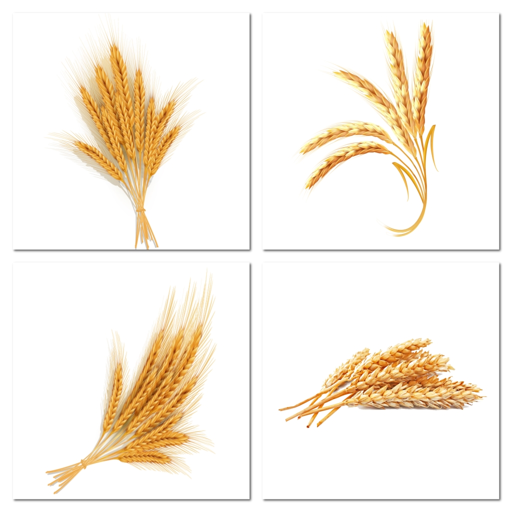 金色麦穗花纹素材