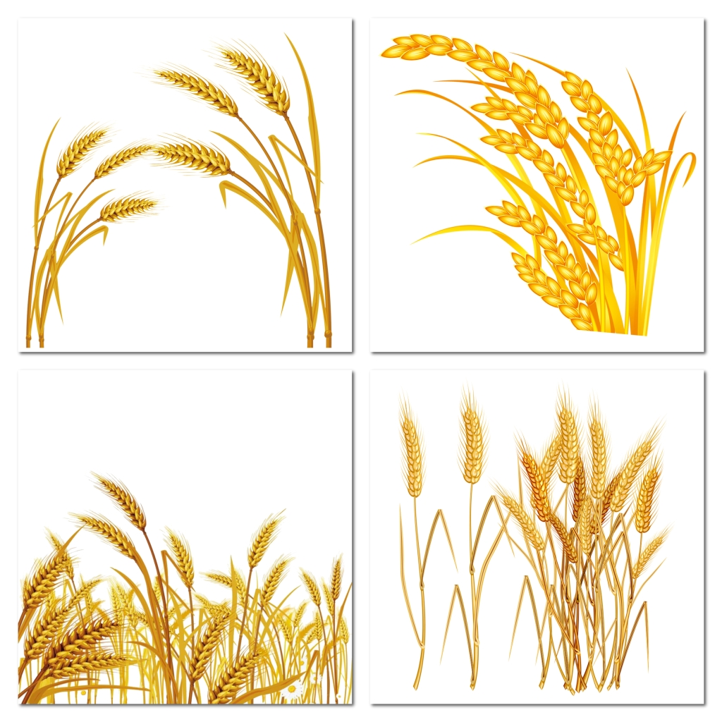 金色麦穗花纹png素材