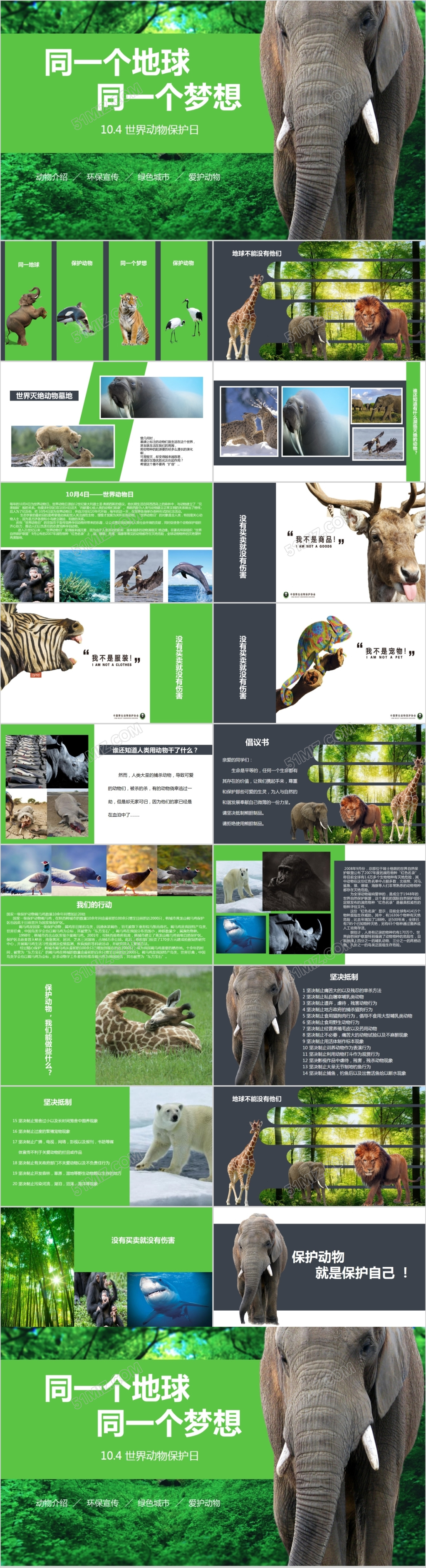 同一个地球同一个梦想10月4日世界动物日