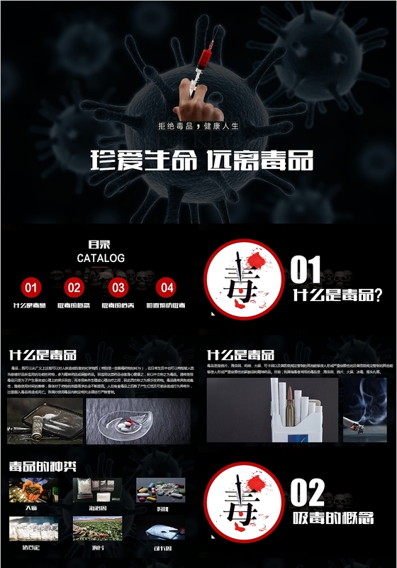 国际禁毒日珍爱生命拒绝毒品禁毒PPT模板