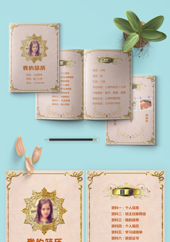 欧式风格简约幼升小个人简历PPT模板 欧式ppt 欧式风格 