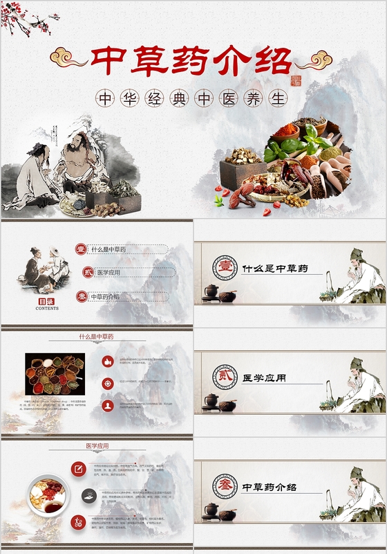 传统中医养生中草药介绍中国风动态PPT模板