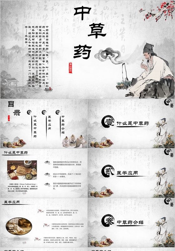 中医中草药介绍ppt模板