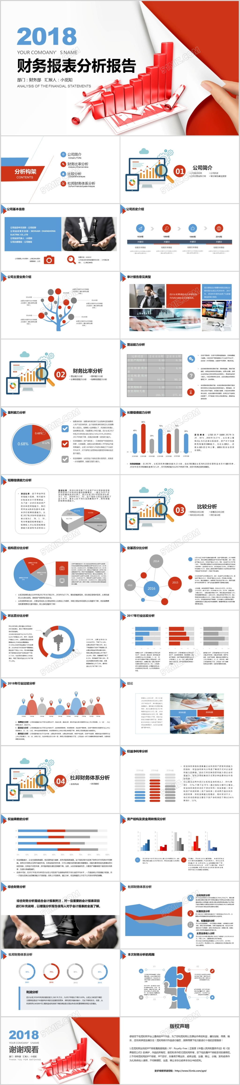 红蓝色财务报表分析报告PPT