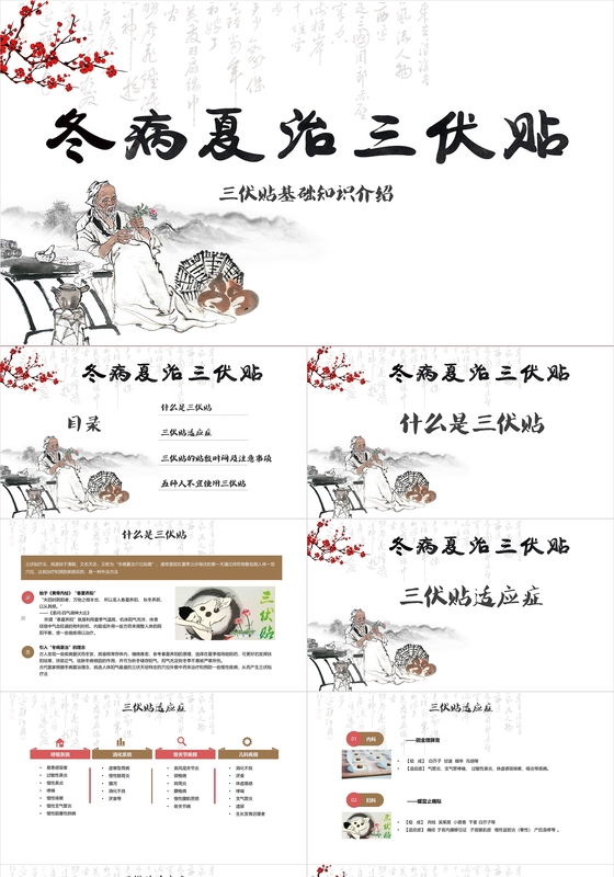 中国风冬病夏治三伏贴介绍PPT模板