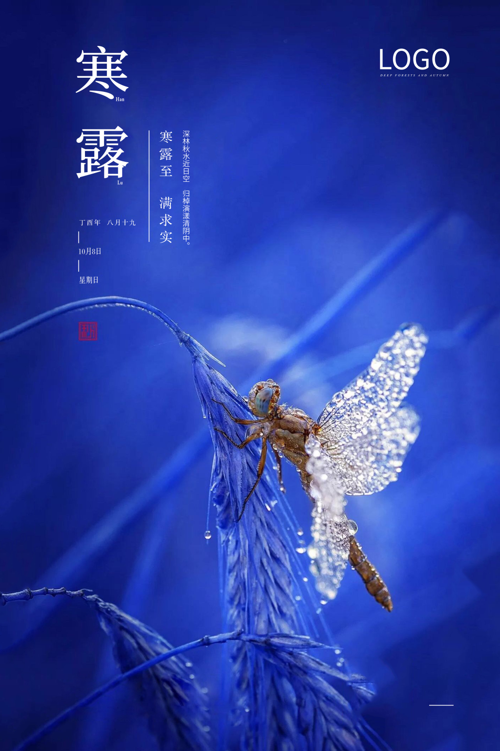 蓝色简约风寒露节气海报
