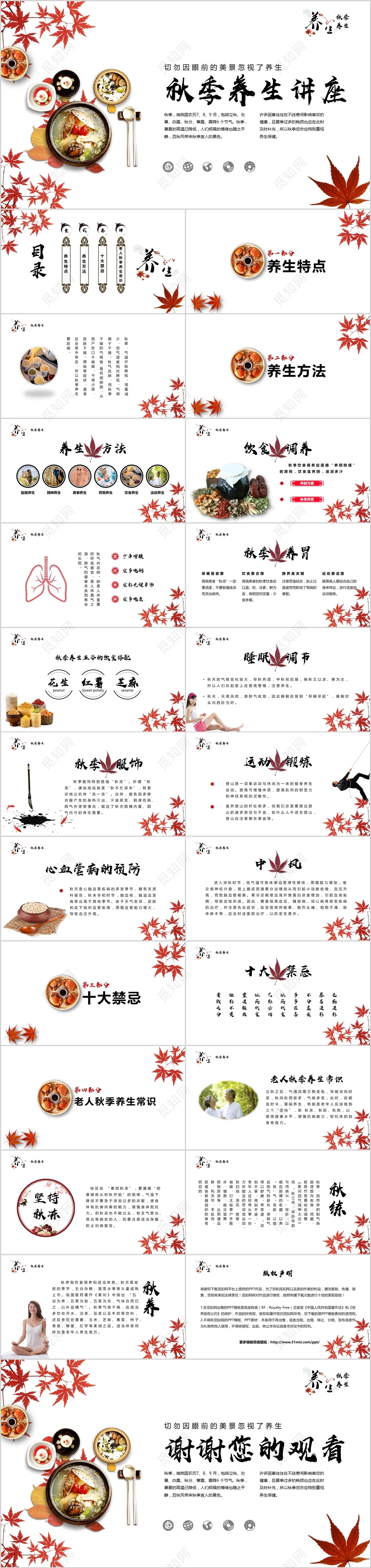 简约唯美秋季养生PPT模板