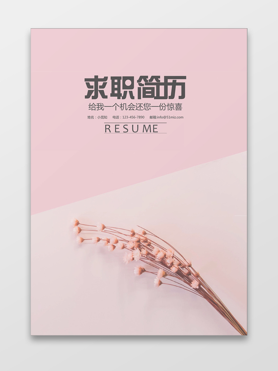 时尚现代花朵求职简历封面word简历模板