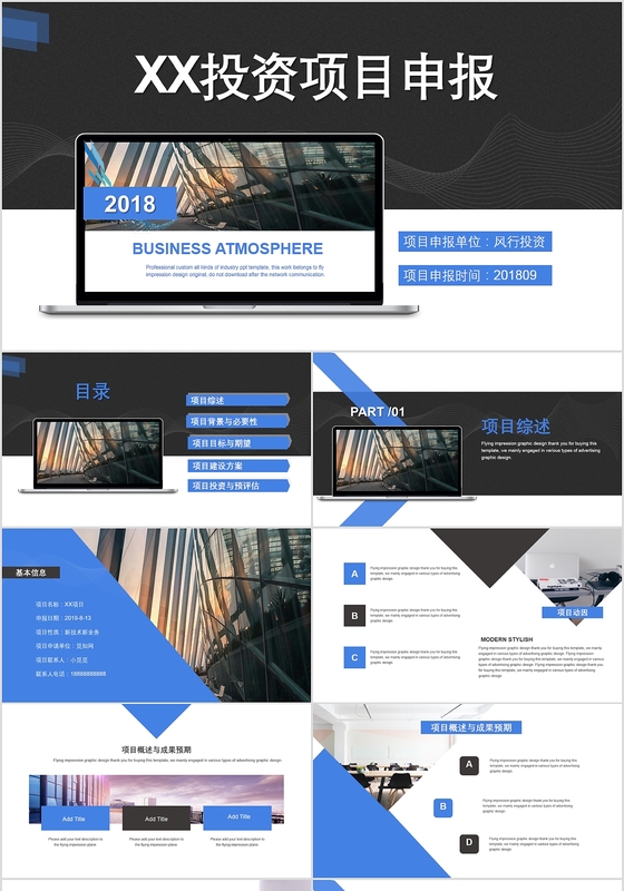 商务大气公司项目申报项目汇报PPT
