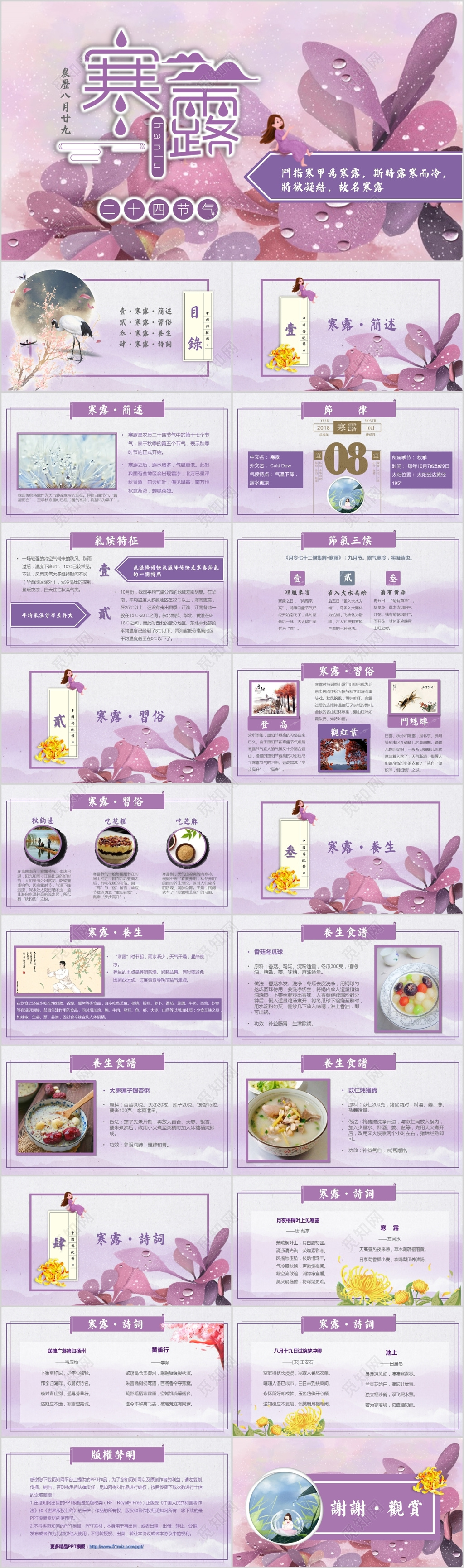 唯美清新紫色二十四节气寒露节气传统节气模板ppt