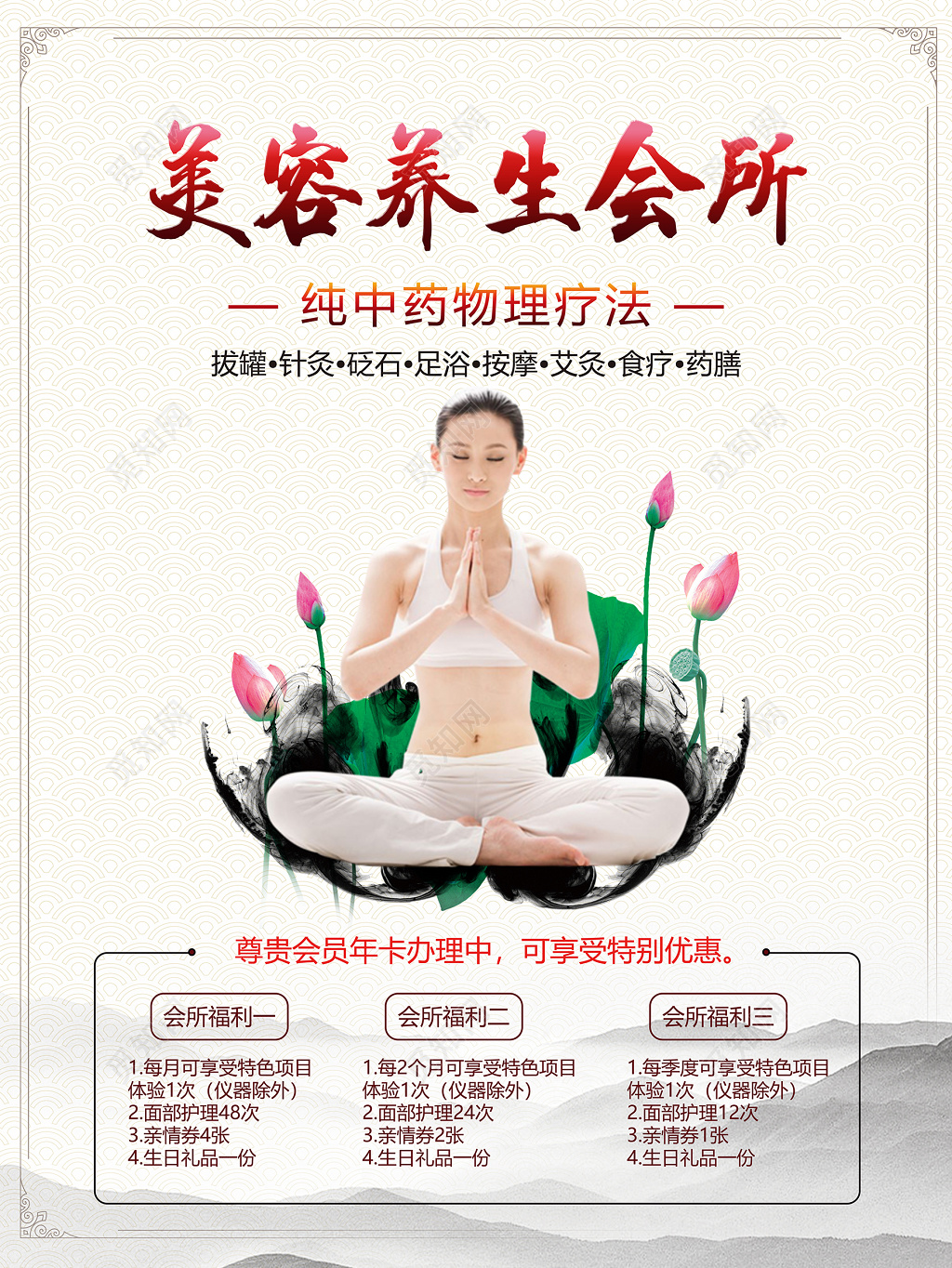 养生spa美容会所养生会所美容整形海报