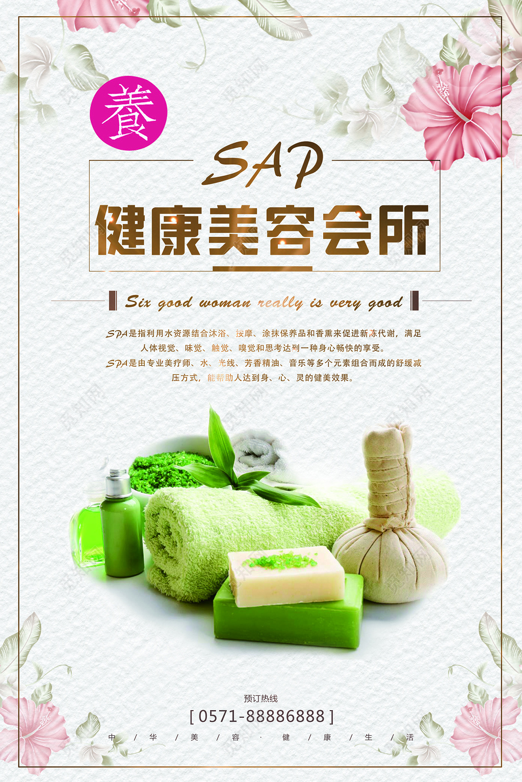 大气中医spa美容养生海报