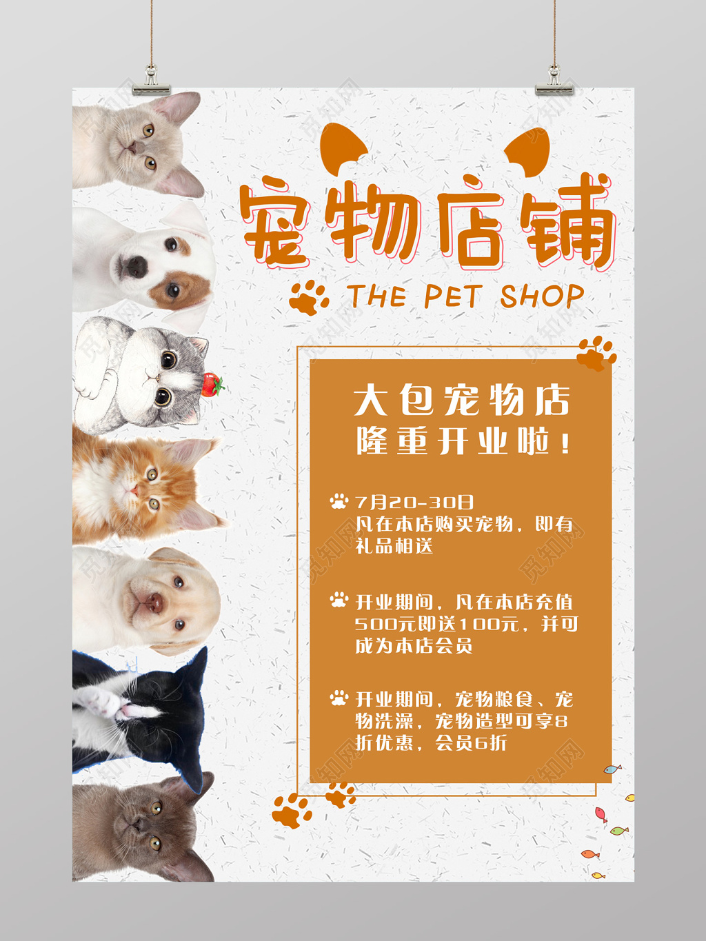 插画风宠物店铺开业促销开业海报