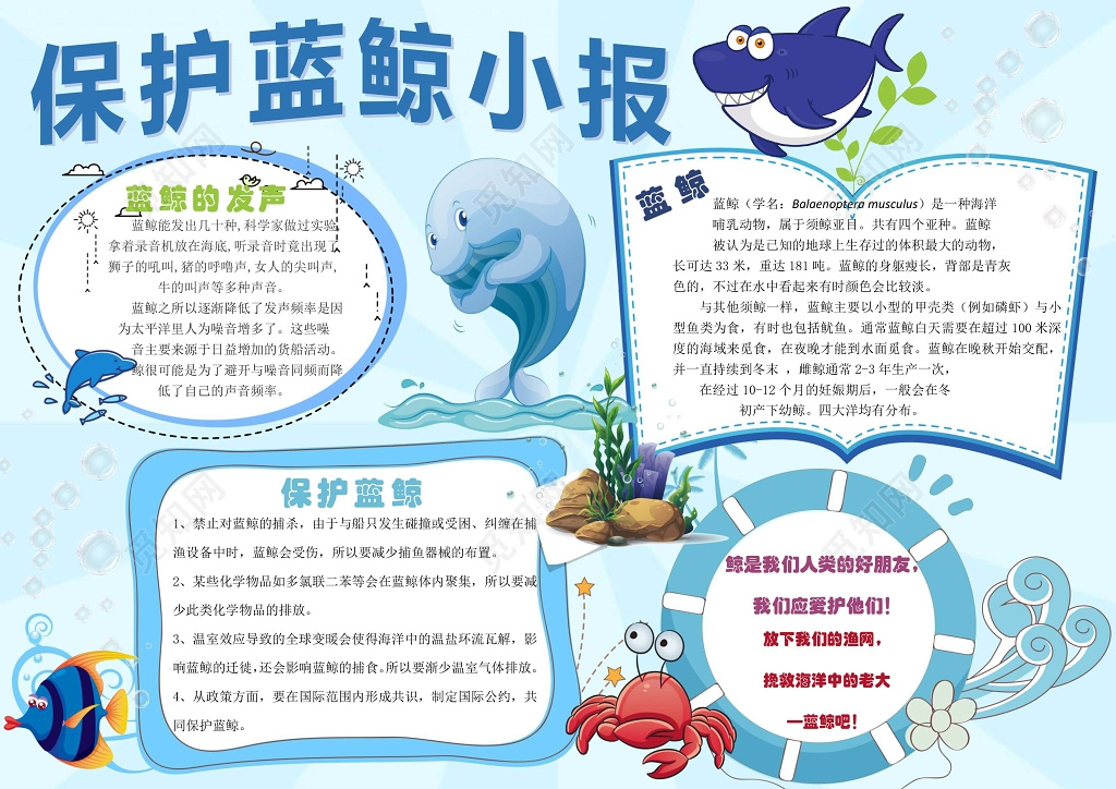 卡通保护动物小报儿童小报环保小报手抄报