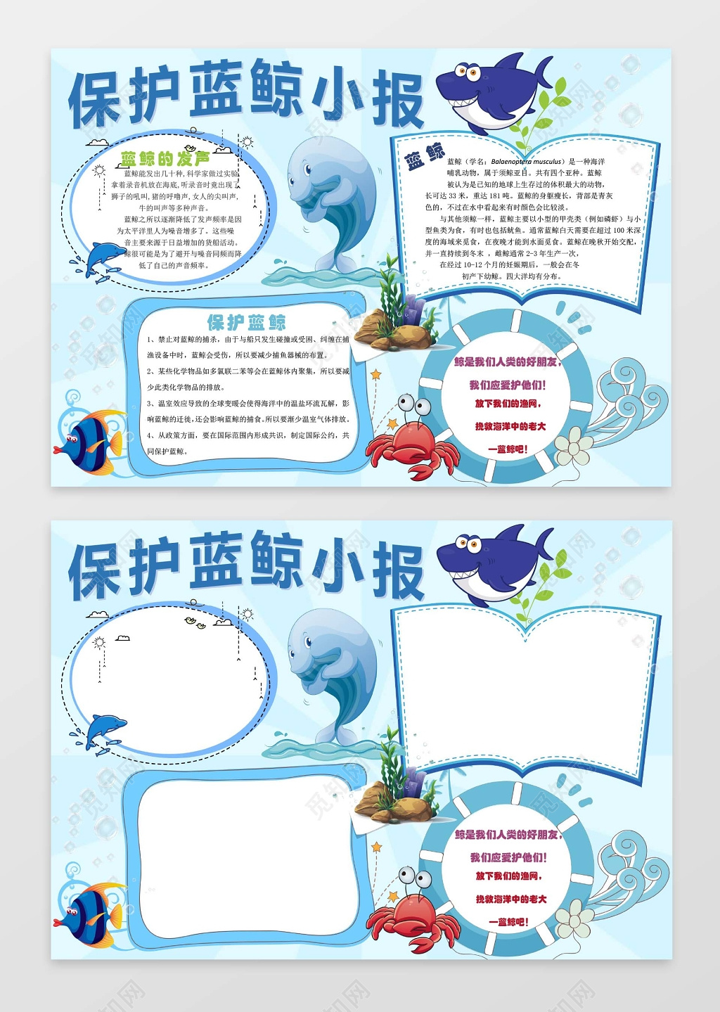 卡通保护动物小报儿童小报环保小报手抄报