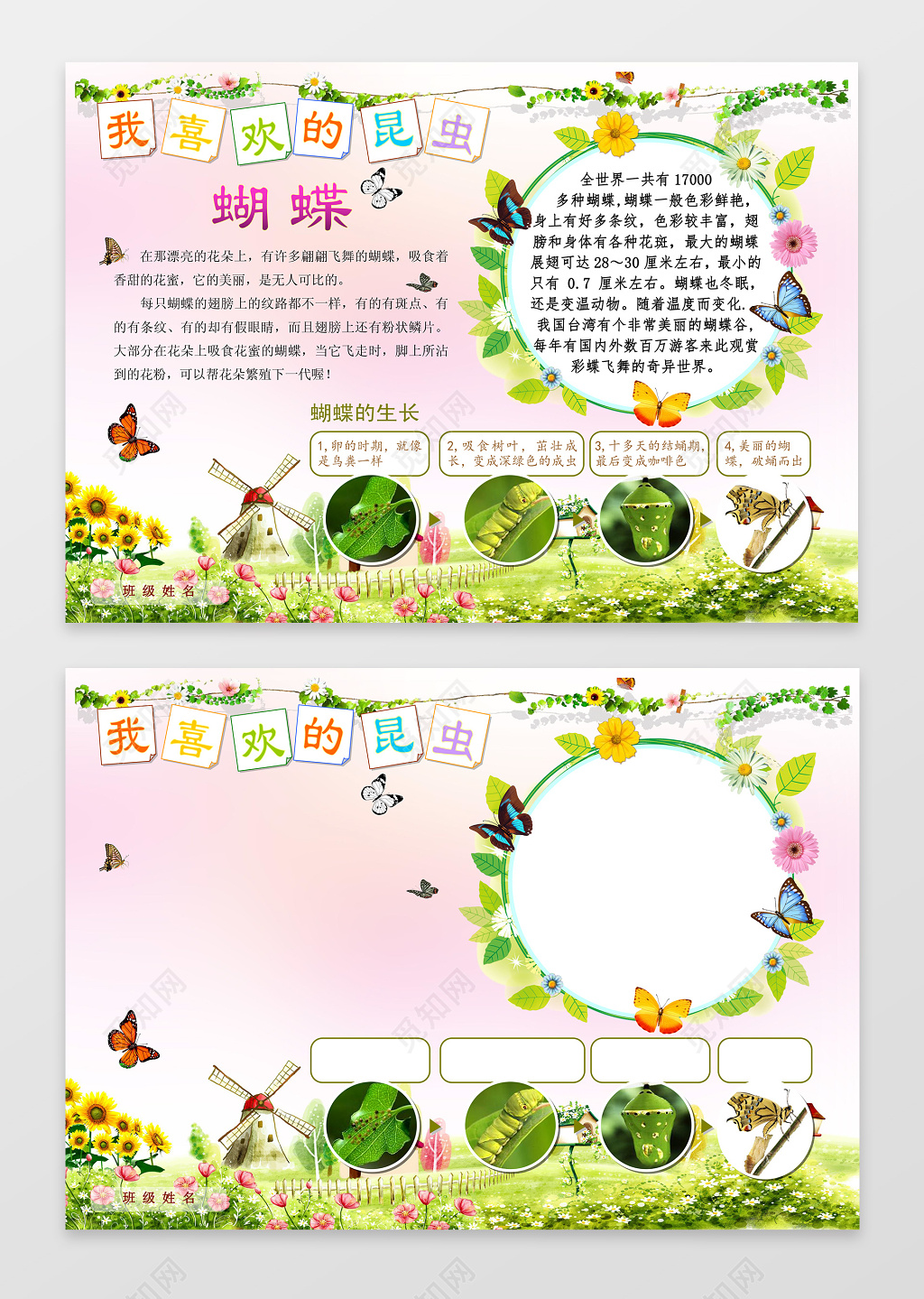 我喜欢的昆虫生物小报电子小报手抄小报边框花边word学习