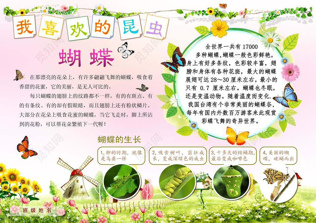 我喜欢的昆虫生物小报电子小报手抄小报边框花边word学习