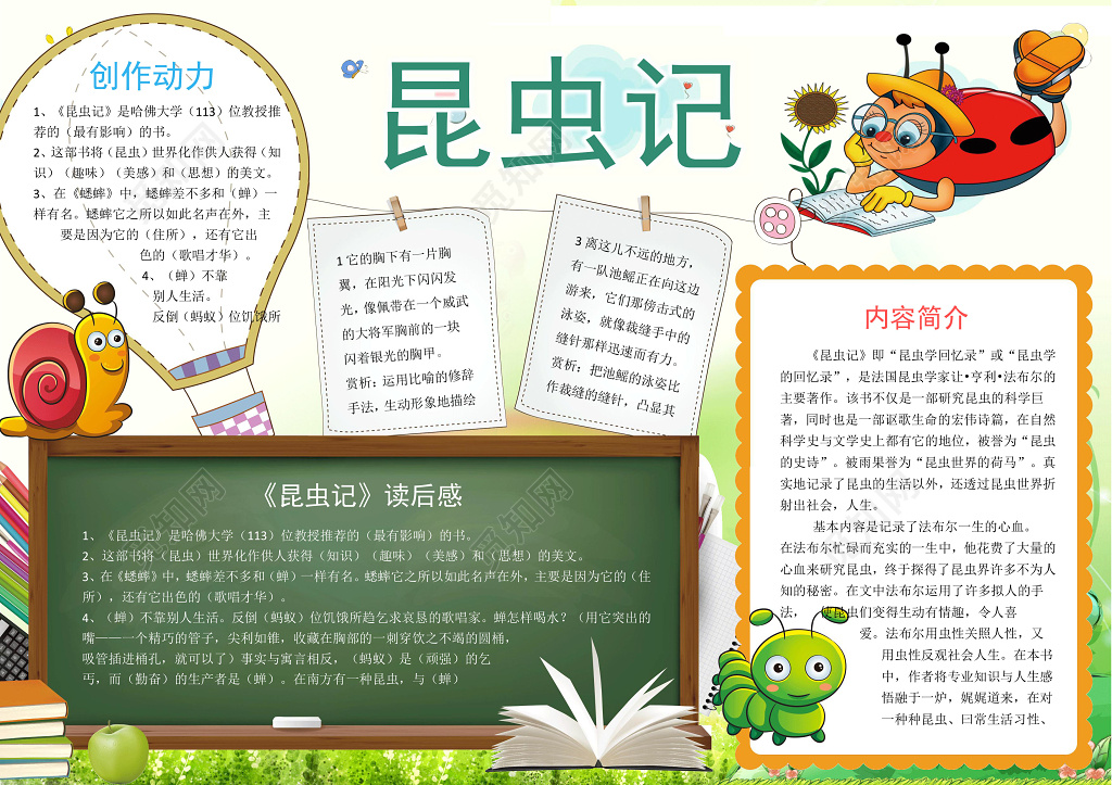 动物世界清新简约昆虫记word电子小报手抄报边框花边