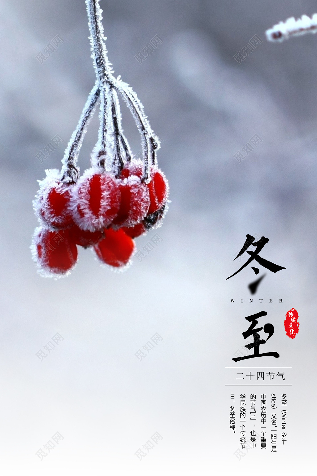 写实风二十四节气冬至海报