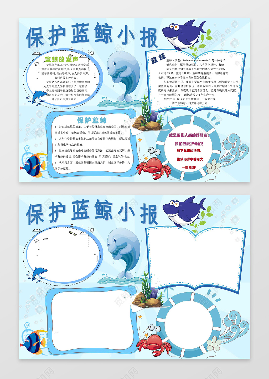 蓝色海洋保护蓝鲸小报保护动物环保手抄报word