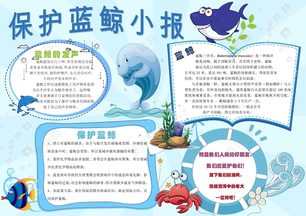 蓝色海洋保护蓝鲸小报保护动物环保手抄报word