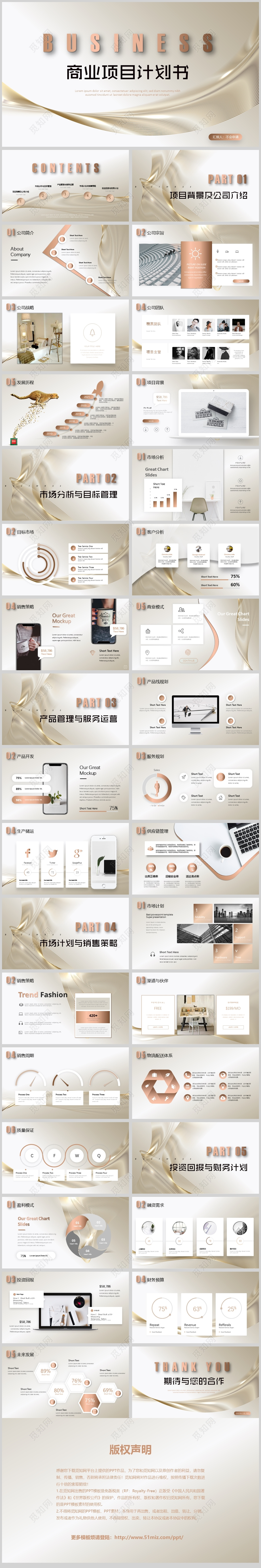 专业级商业项目计划书商业计划书PPT淡金色融资方案