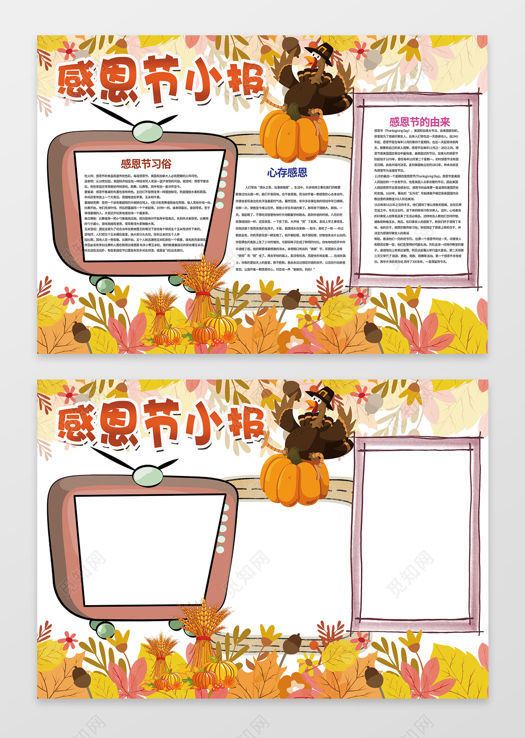 黄色枫叶秋天插画感恩节小报手抄报含有PS源文件