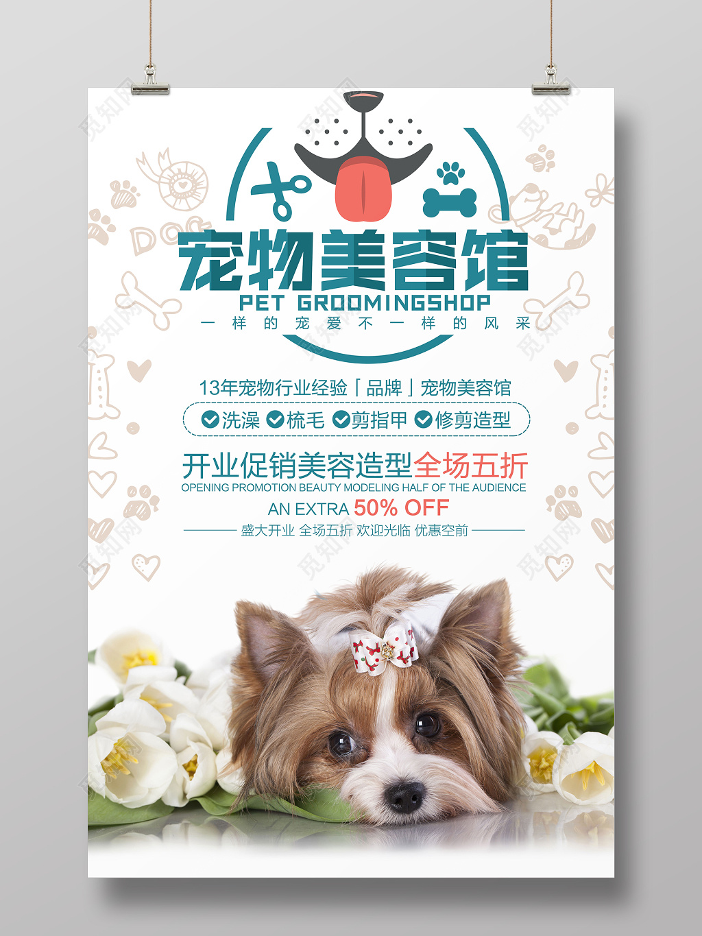 宠物馆美容促销活动